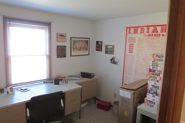 office area featuring carpet and a healthy amount of sunlight