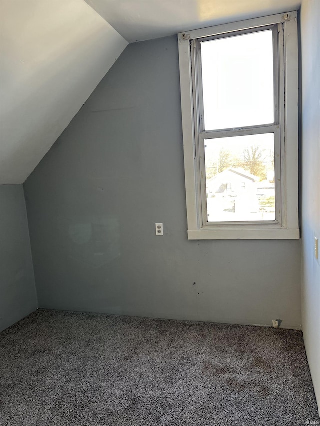 bonus room featuring carpet floors and lofted ceiling