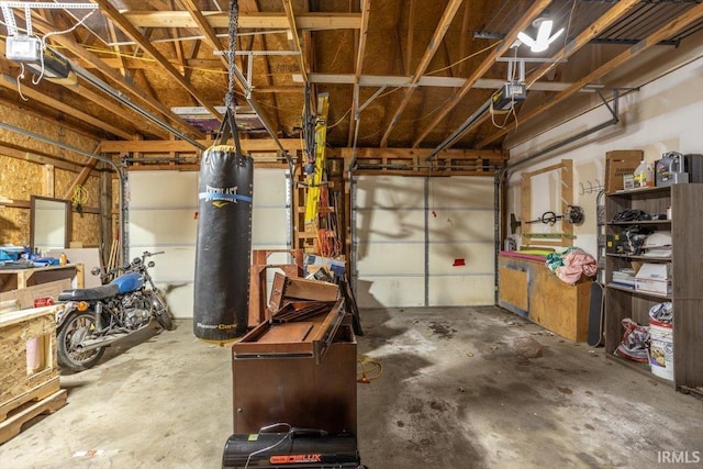 garage with a garage door opener