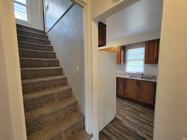 staircase with wood finished floors