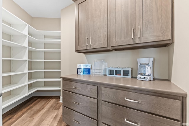 walk in closet featuring wood finished floors