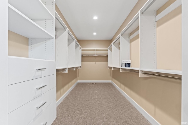 spacious closet featuring carpet flooring