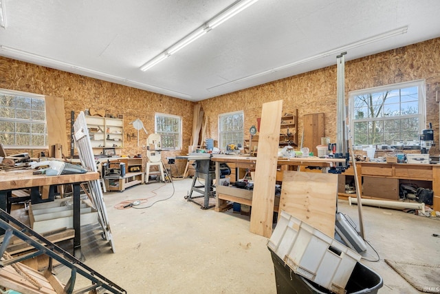 miscellaneous room with a workshop area and a wealth of natural light