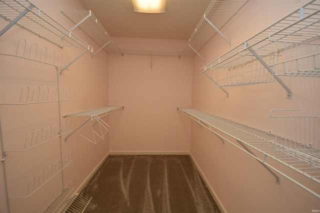 walk in closet with carpet floors