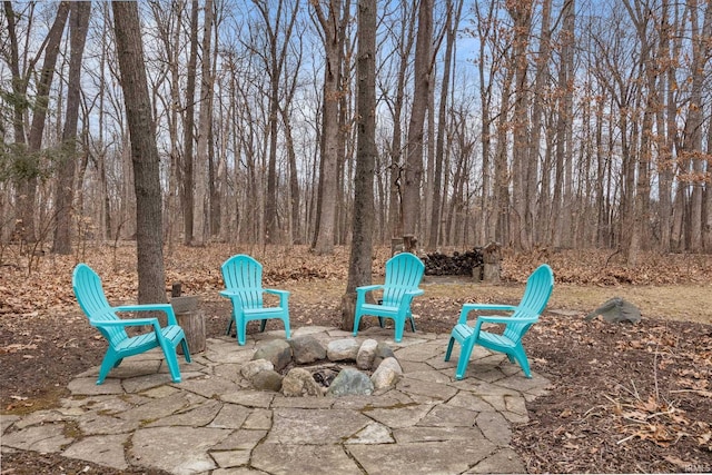 view of yard featuring a patio area