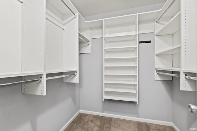 walk in closet with carpet