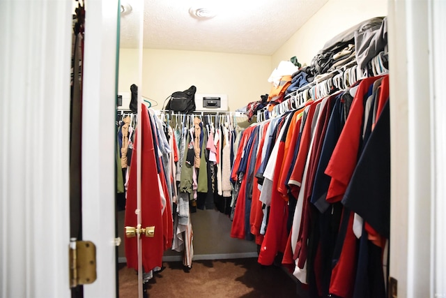 spacious closet with carpet floors