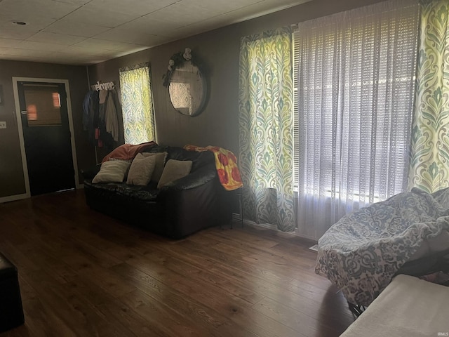 living room with wood-type flooring