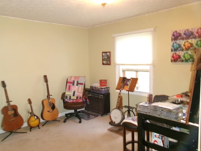 playroom featuring carpet floors