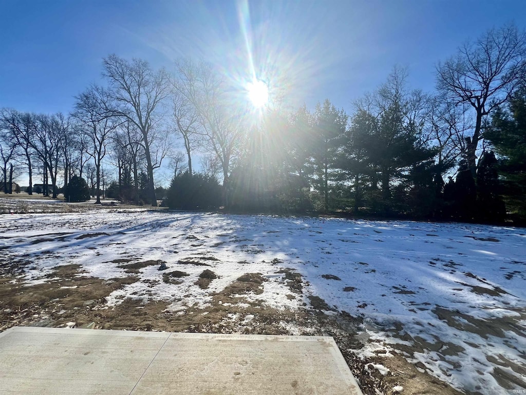 view of yard layered in snow