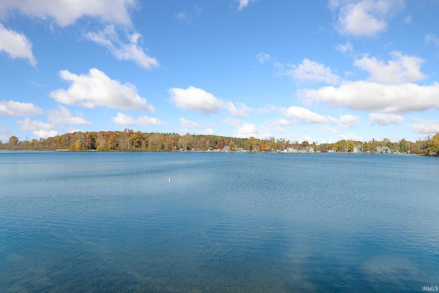 view of water feature