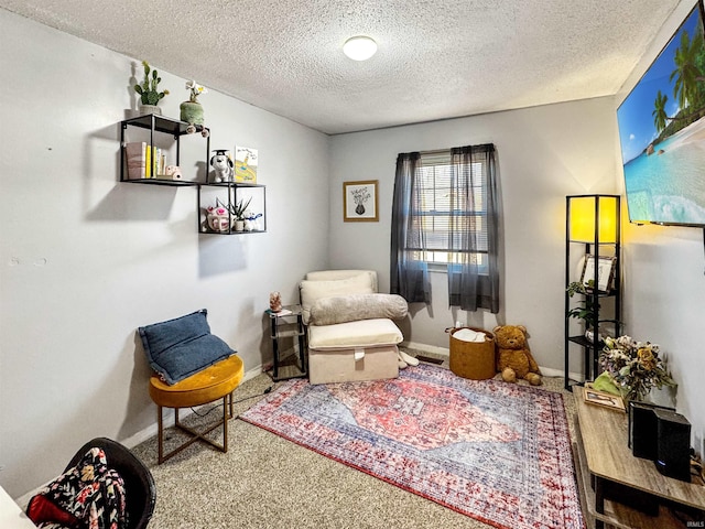 living area featuring a textured ceiling, carpet, and baseboards