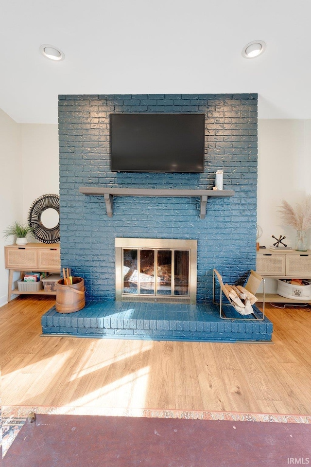 details featuring a fireplace and wood finished floors