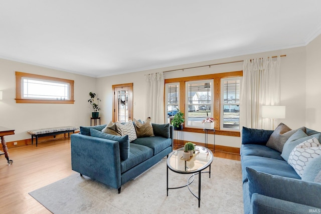 living area featuring ornamental molding, baseboards, and light wood finished floors