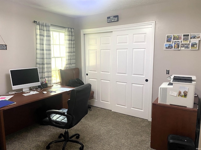 view of carpeted home office