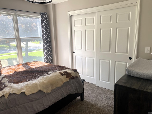 bedroom with multiple windows, dark carpet, and a closet