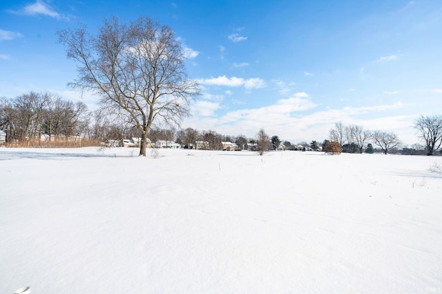 view of yard layered in snow