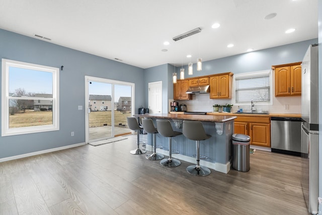 kitchen with decorative backsplash, appliances with stainless steel finishes, a healthy amount of sunlight, a sink, and under cabinet range hood