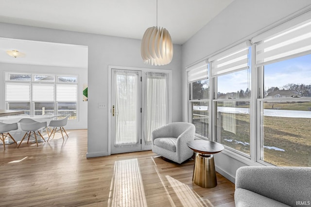 interior space featuring plenty of natural light, baseboards, and light wood-style flooring