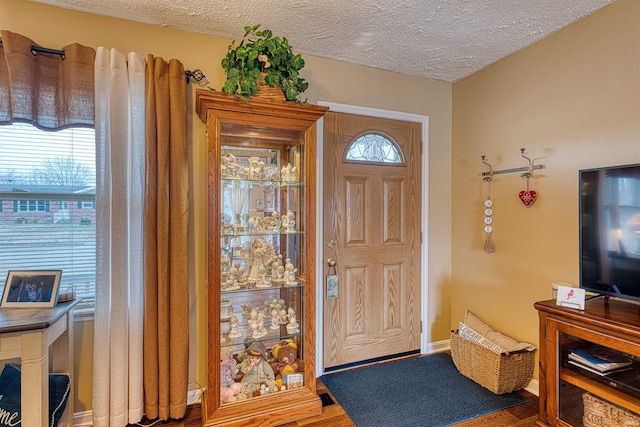 entrance foyer with a healthy amount of sunlight, baseboards, a textured ceiling, and wood finished floors