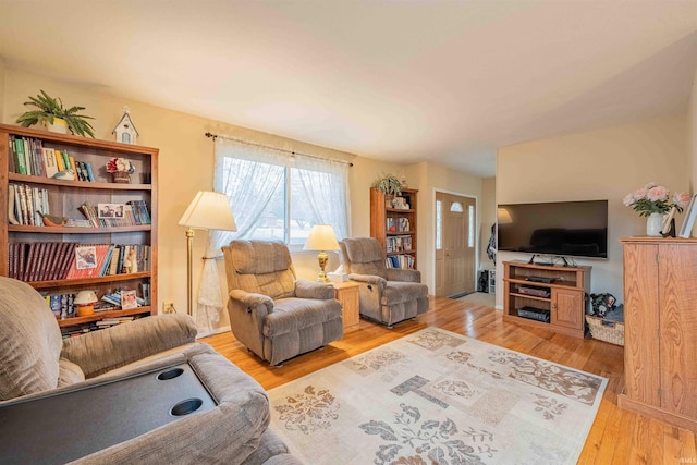 living area featuring wood finished floors