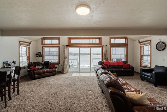 living area with lofted ceiling, light carpet, a water view, and a textured ceiling