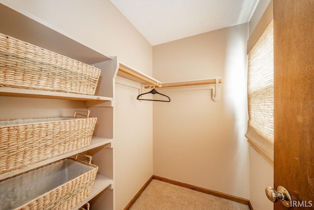 spacious closet featuring light carpet