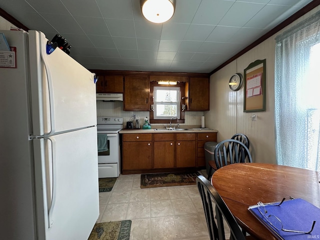 kitchen featuring white appliances, brown cabinets, light countertops, under cabinet range hood, and a sink