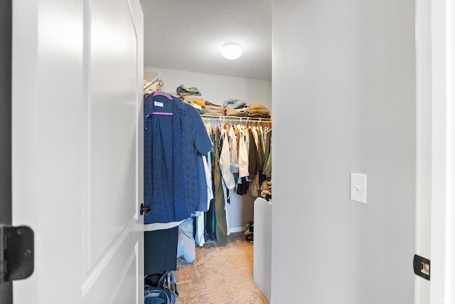 walk in closet featuring carpet floors