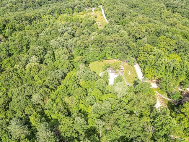 bird's eye view with a forest view