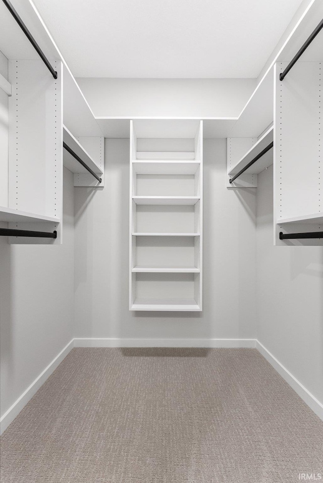 spacious closet with carpet