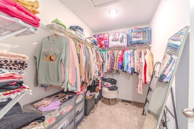 walk in closet with attic access and light carpet