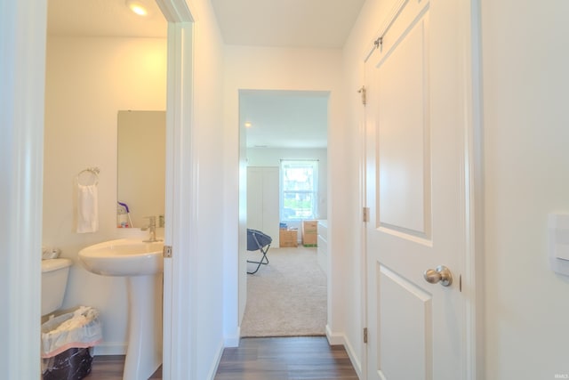 corridor featuring dark colored carpet, dark wood finished floors, and baseboards