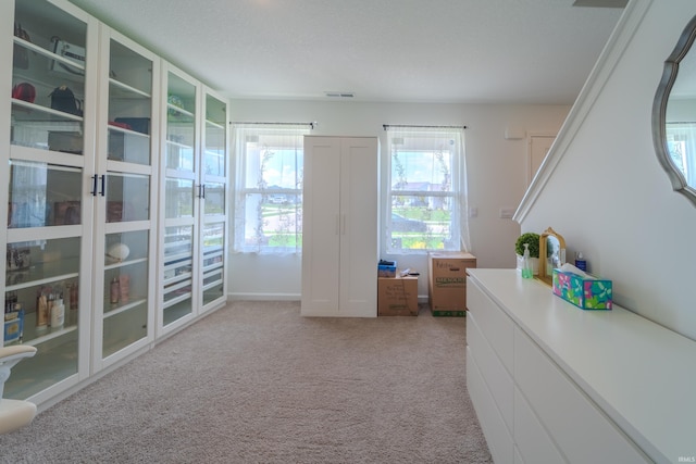 unfurnished bedroom with light carpet and visible vents