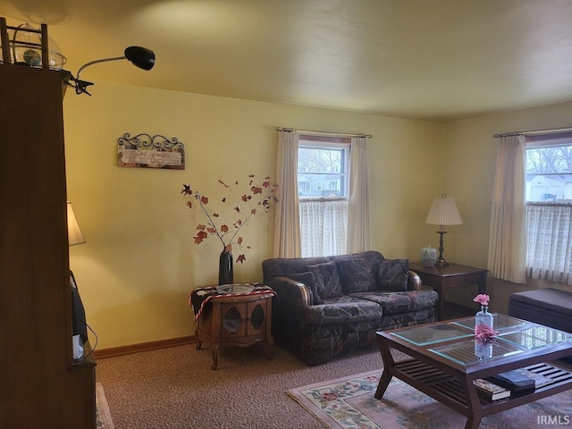 living area featuring baseboards, a wealth of natural light, and carpet flooring