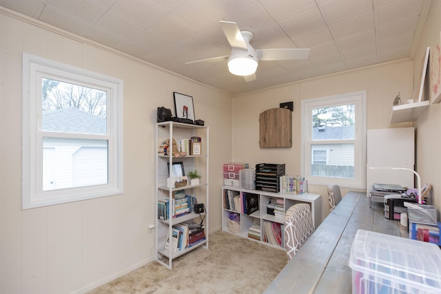 carpeted home office featuring a ceiling fan and crown molding