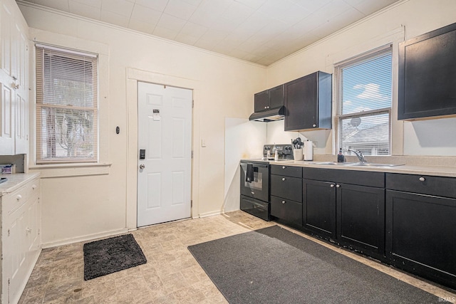 kitchen featuring range with electric cooktop, dark cabinets, crown molding, under cabinet range hood, and a sink