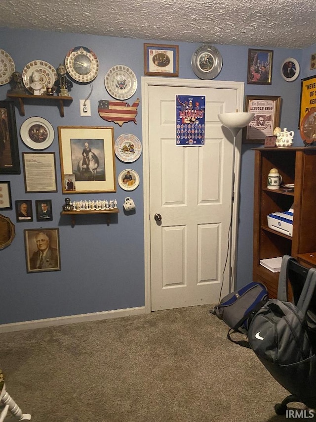 interior space with carpet floors, baseboards, and a textured ceiling