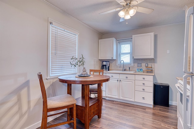 kitchen with tasteful backsplash, light countertops, light wood-style flooring, ornamental molding, and white cabinets