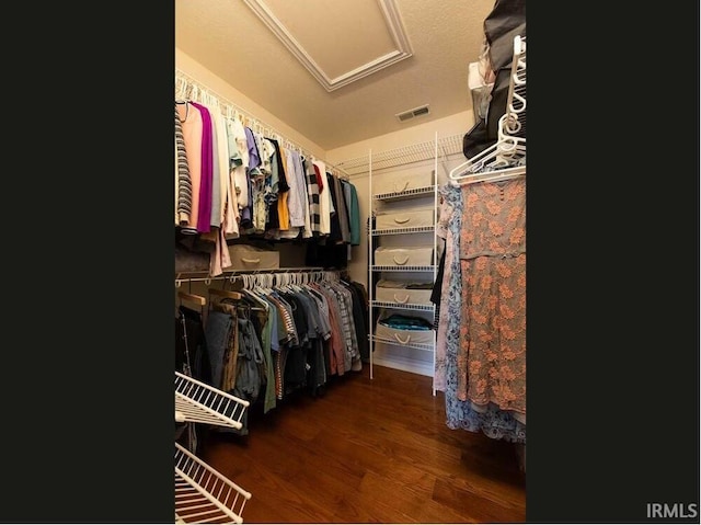 spacious closet featuring wood finished floors, visible vents, and attic access