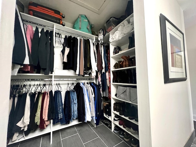 view of spacious closet