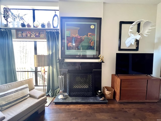 living room with a fireplace with raised hearth and wood finished floors