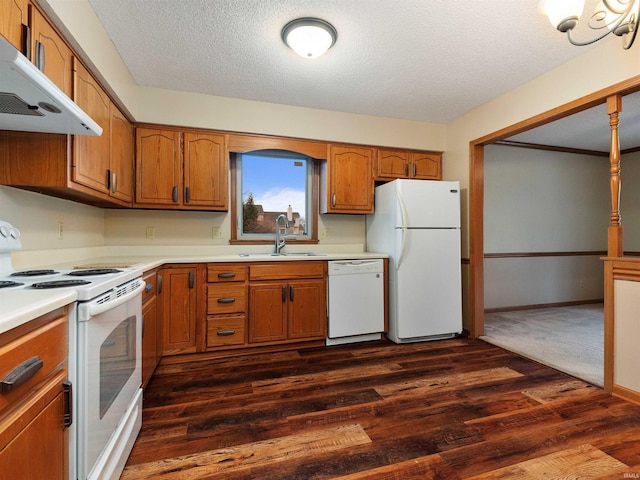 kitchen with white appliances, brown cabinetry, a sink, and under cabinet range hood