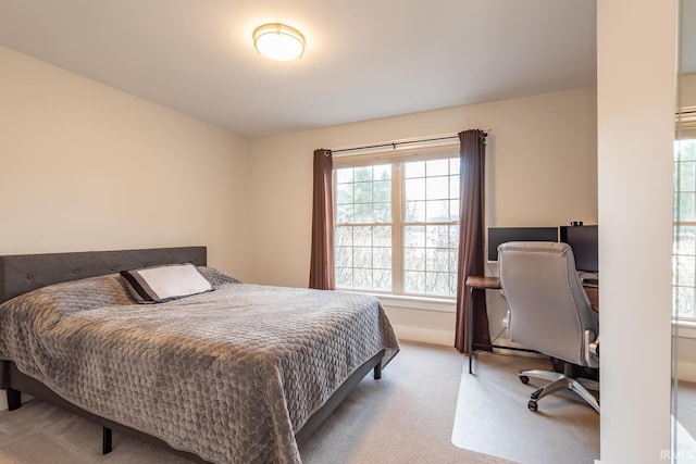 bedroom featuring carpet