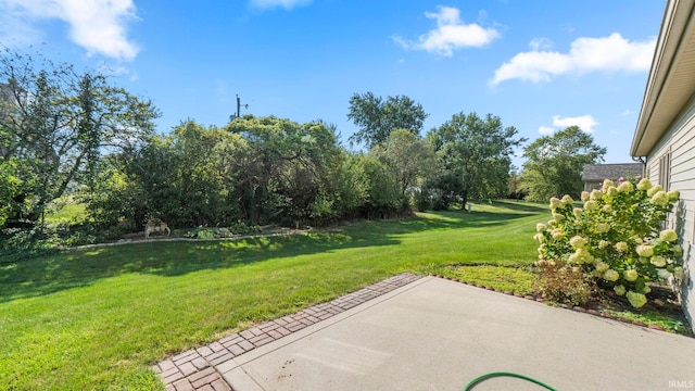 view of yard with a patio area