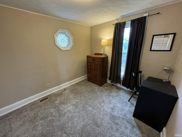 carpeted home office with visible vents, plenty of natural light, and a textured ceiling