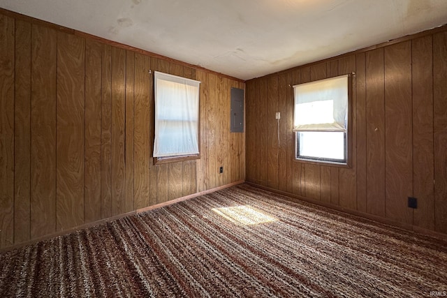 spare room featuring electric panel, wood walls, and baseboards