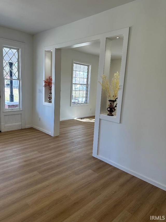 interior space featuring wood finished floors, a wealth of natural light, and baseboards