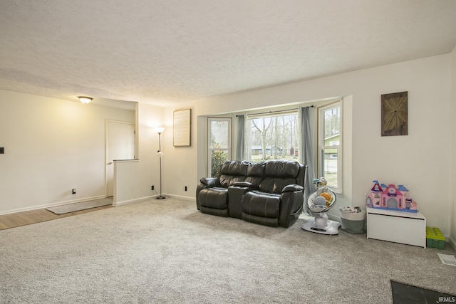 carpeted living area with baseboards and a textured ceiling