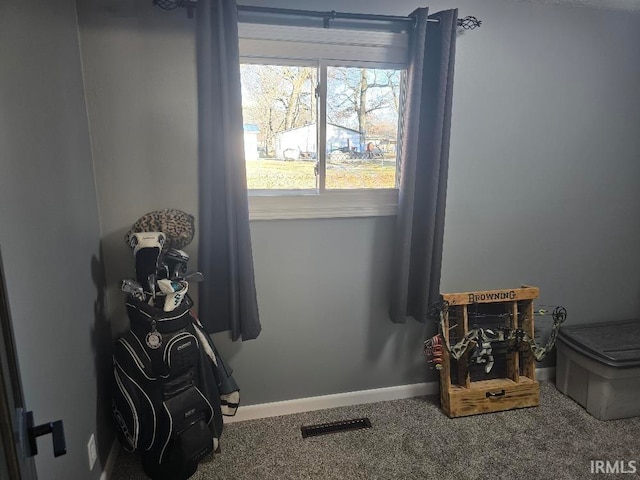 room details with carpet floors, visible vents, and baseboards